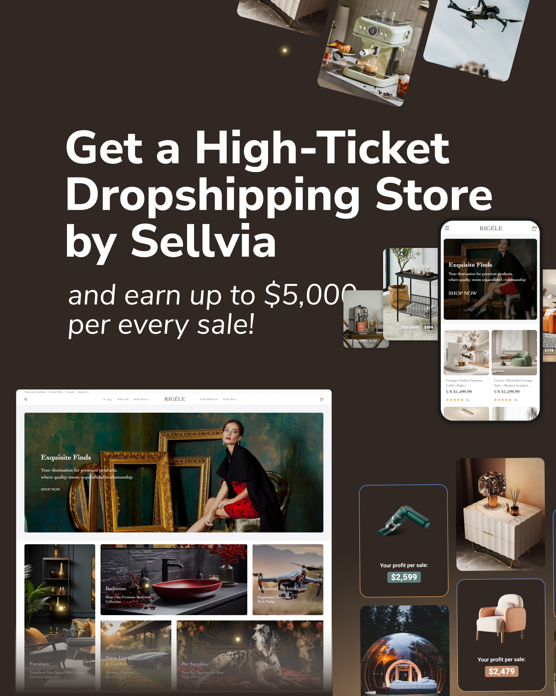 Get a High-Ticket Dropshipping Store and earn up to $5,000 per every sale